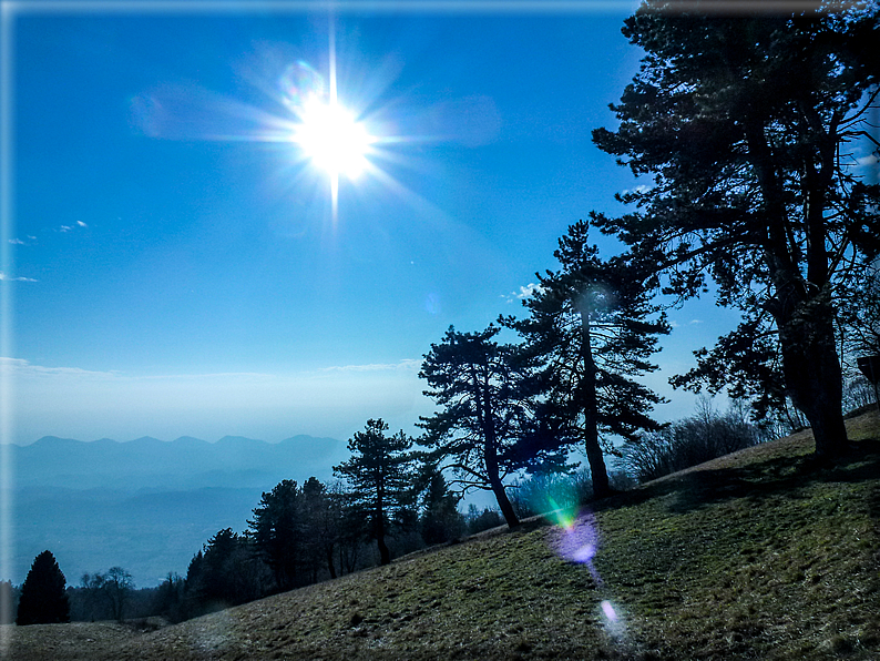 foto Salita dal Monte Tomba a Cima Grappa